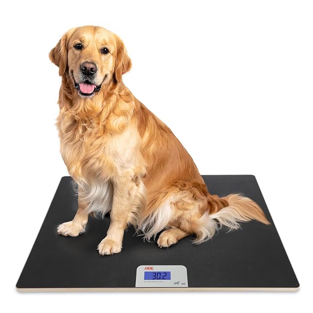 ADE XL digital pet scale platform for large dogs