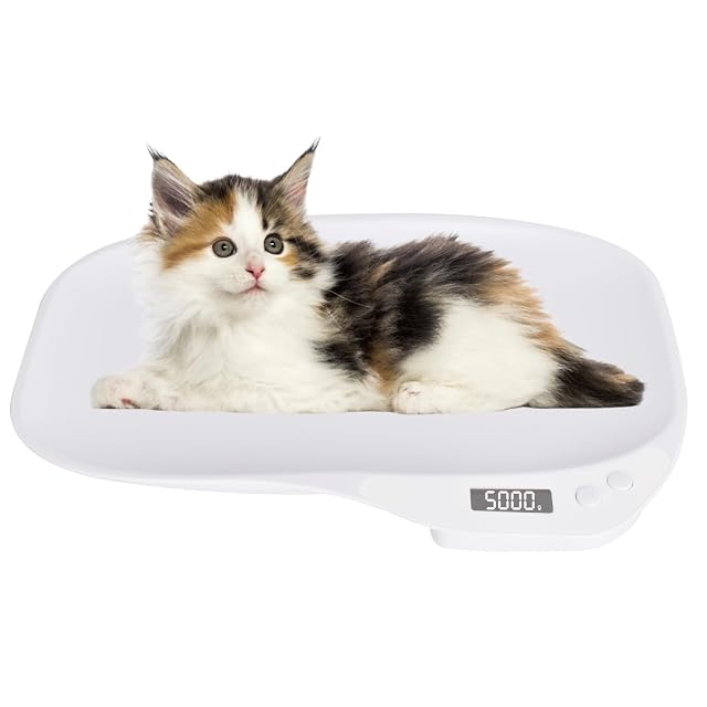 Colexy digital scale for small pets