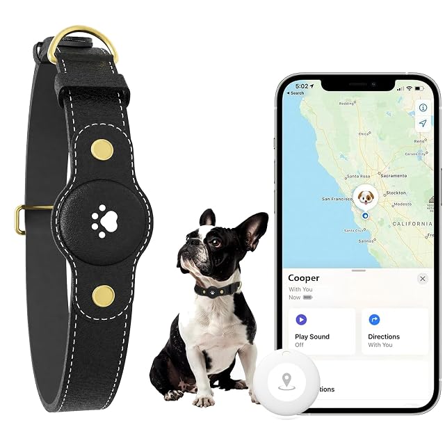 BOMERAHE B-02 dog collar with built-in location tracker