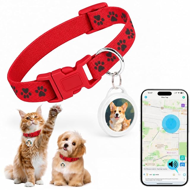 Focushine F18A black Apple Find My pet tracker tag on a collar