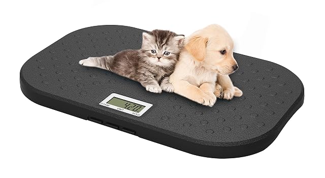 i-pouch EB527 digital veterinary pet scale